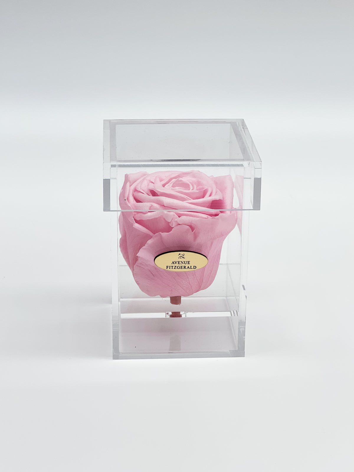 Acrylic box of 1 rose AVENUE FITZGERALD