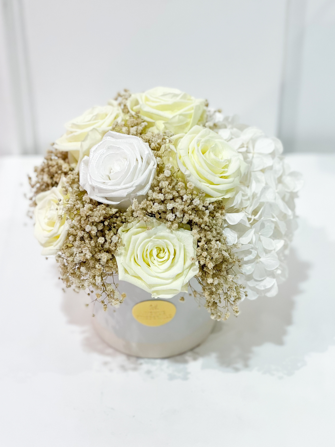 Hortensia x Witte Champagne