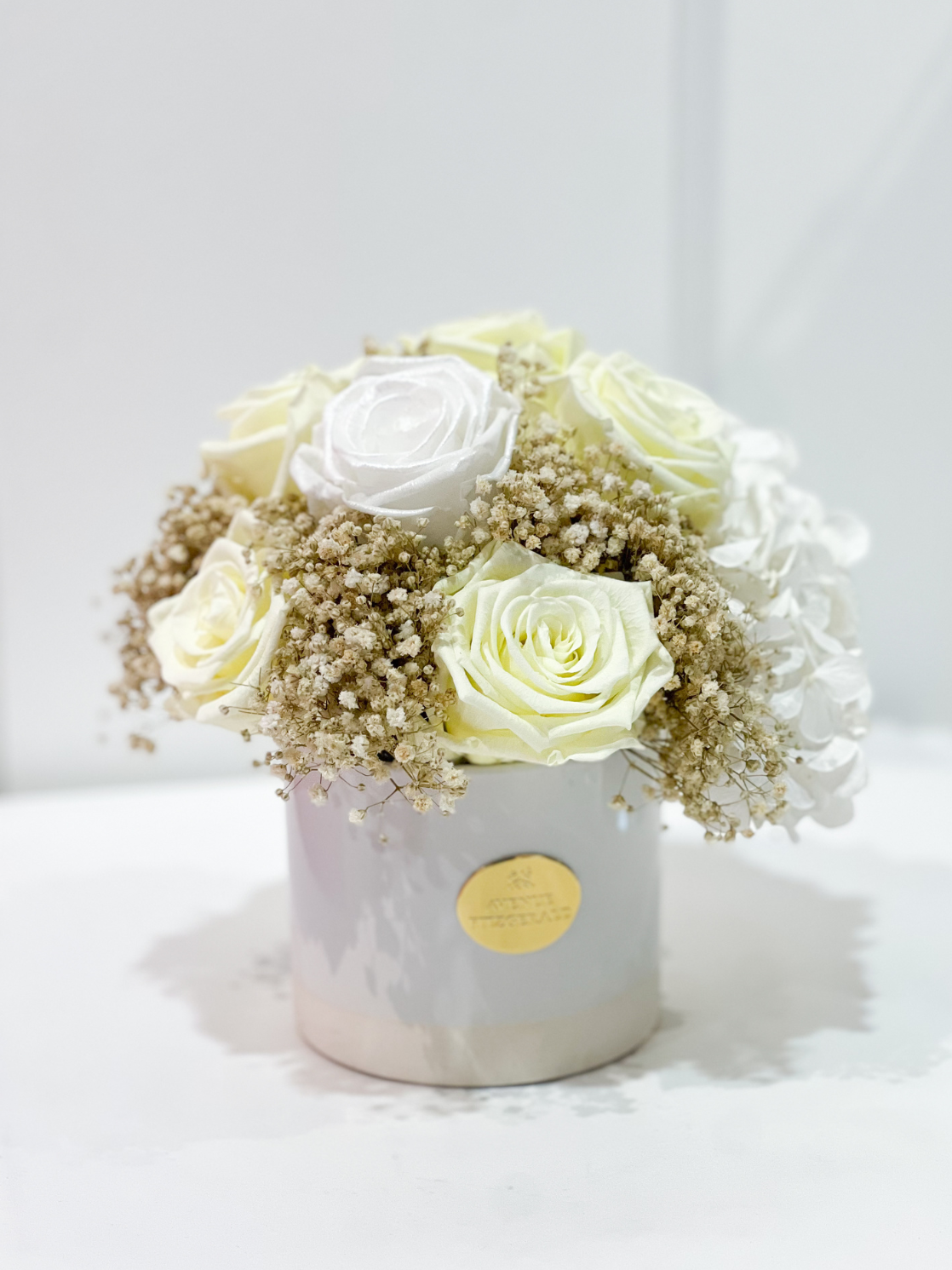 Hortensia x Witte Champagne