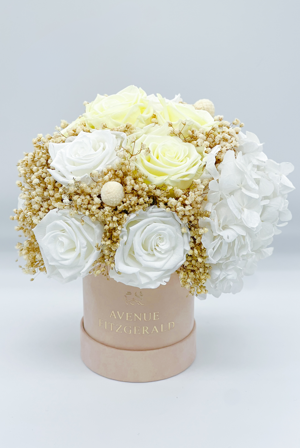 Adorable Hydrangea x Nude