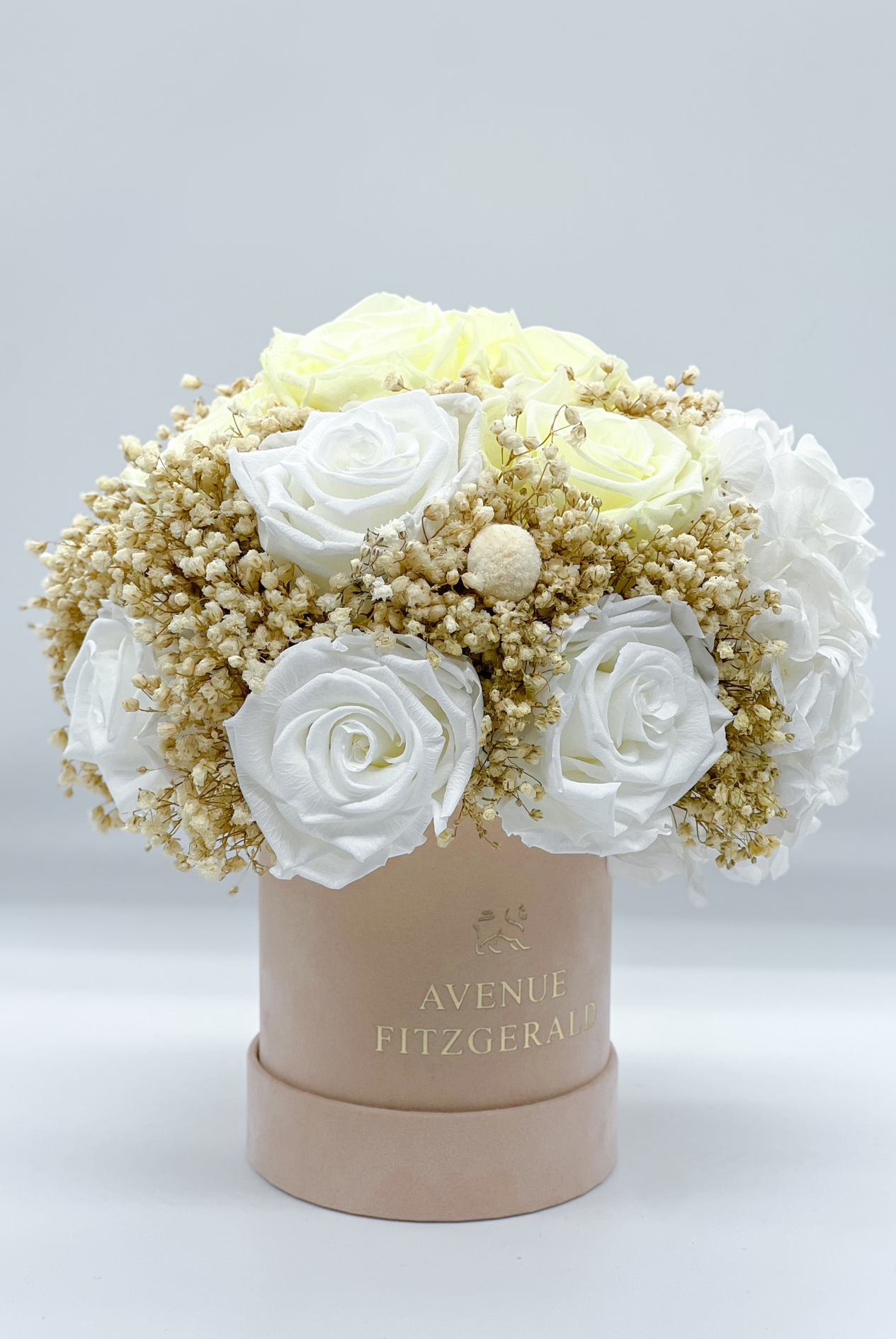 Adorable Hydrangea x Nude